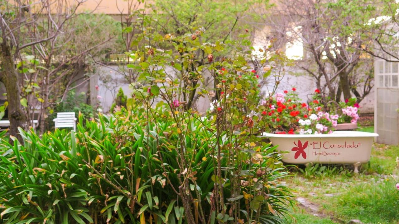Hotel Boutique El Consulado لاباز المظهر الخارجي الصورة